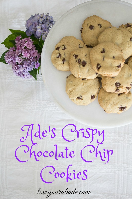 chocolate-chip-cookies-38