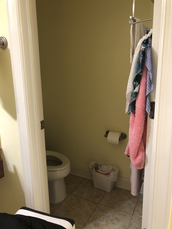 master-bathroom-renovation-reveal-4